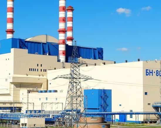 На Белоярской АЭС завершилась миссия ОСАРТ МАГАТЭ